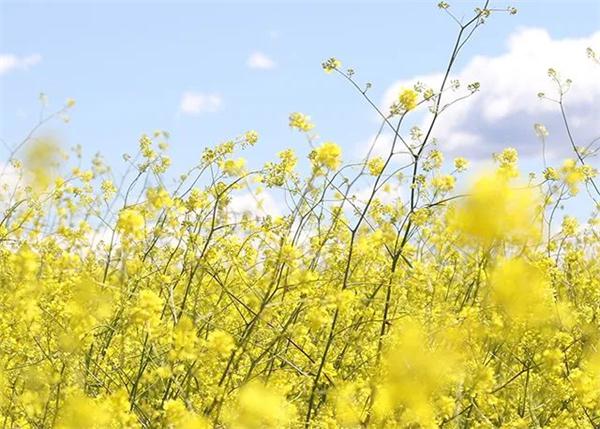 微信圖片_20200320135830.jpg 微信圖片_20200320135830.jpg