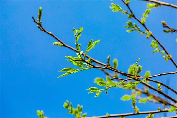 微信圖片_20200320135835.jpg 微信圖片_20200320135835.jpg